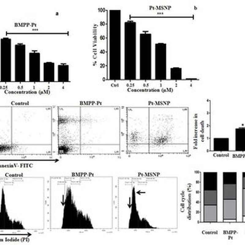 Nolvadex research